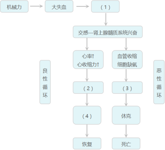 464e7797-1936-49f1-a7bb-f588697b0c18.png