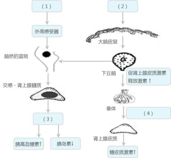 45a6e913-7570-4ddd-9c02-cd81994bf8e9.png