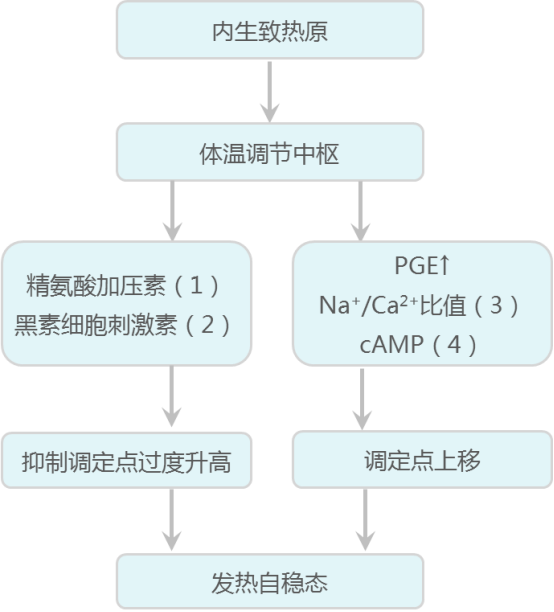 cb98692b-9c01-431e-83b4-3b484fc248ef.png