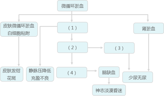75bb5a4c-45a0-4948-81ed-1824924c2b1c.png