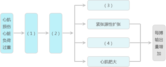 64e772bc-7ed1-43ee-b878-2c0bad375857.png
