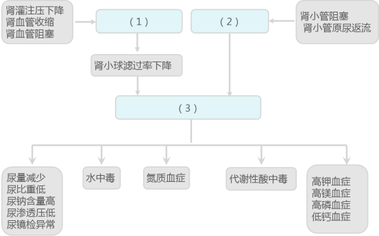 4e43629a-6b7d-4338-b34b-520356405caa.png