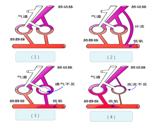 62a07336-702c-44c9-bde4-43a67344da1d.png